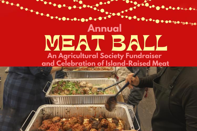 meat ball event