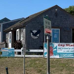 Aquila shop Aquinnah Cliffs