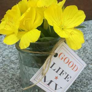 good life mv