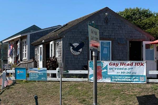 Aquila shop Aquinnah Cliffs