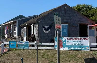 Aquila shop Aquinnah Cliffs