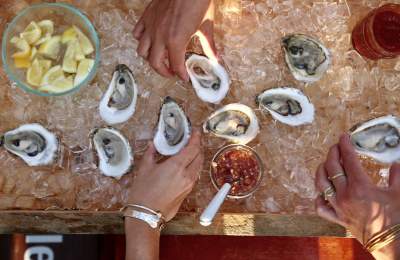 marthas vineyard oysters festival