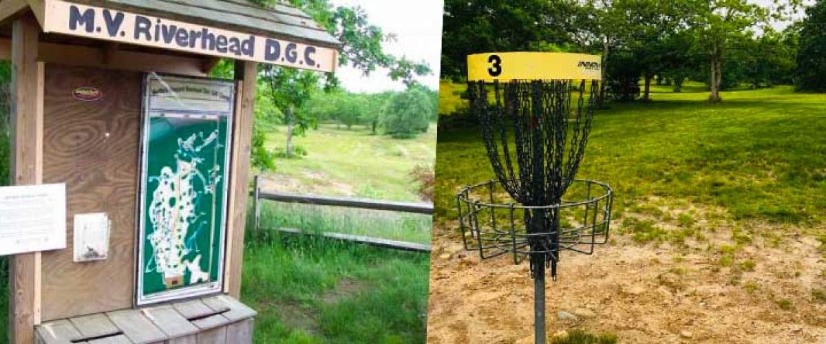 frisbee park marthas vineyard