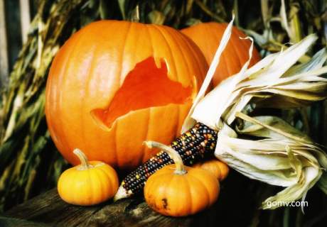 edgartown farm pumpking festival