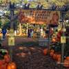 edgartown farm pumpkin fest