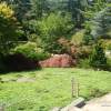 mytoi japanese garden