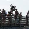 boys jumping from bridge